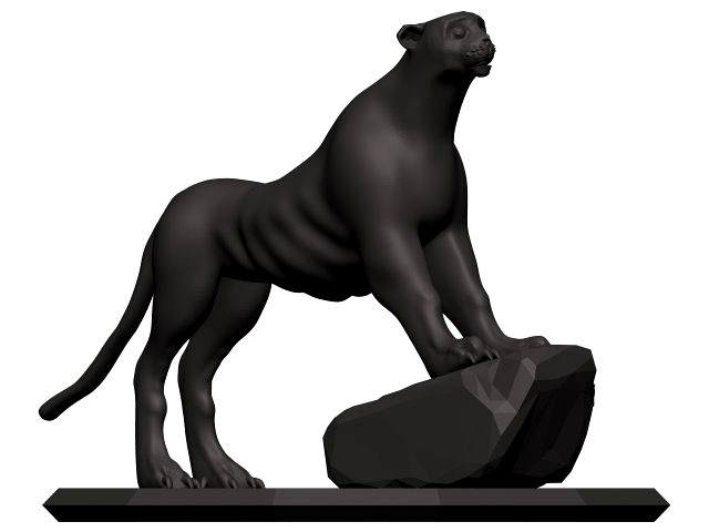 Cheetah