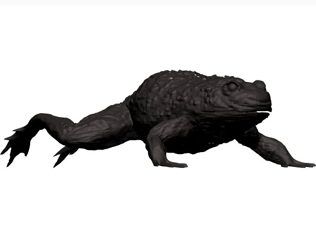 Bullfrog