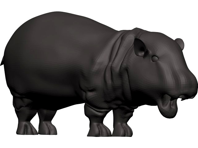 Hippopotamus