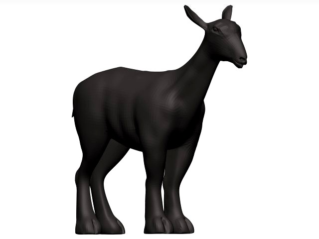 Markhor