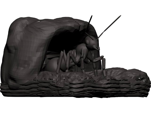 Ant