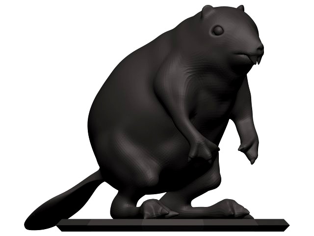 Beaver
