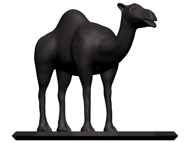 Camel