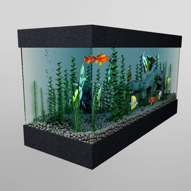 aquarium