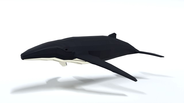 low poly cartoon humpback whale