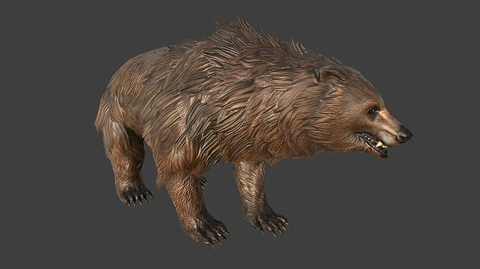 Bears