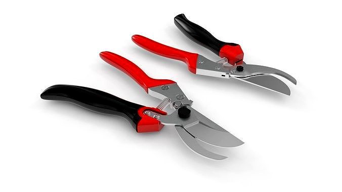 Pruning Shears Scissors