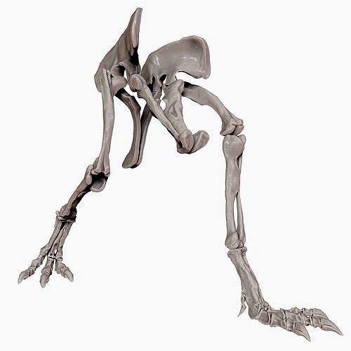 Spinosaurus 2020 version Hip Leg Set Skeletons