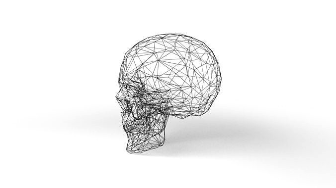 Human Skull Wireframe