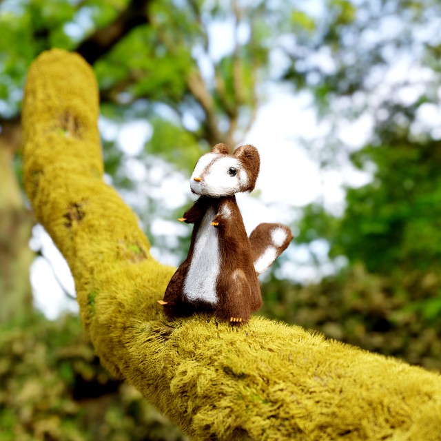squirrel