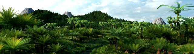 rain forest