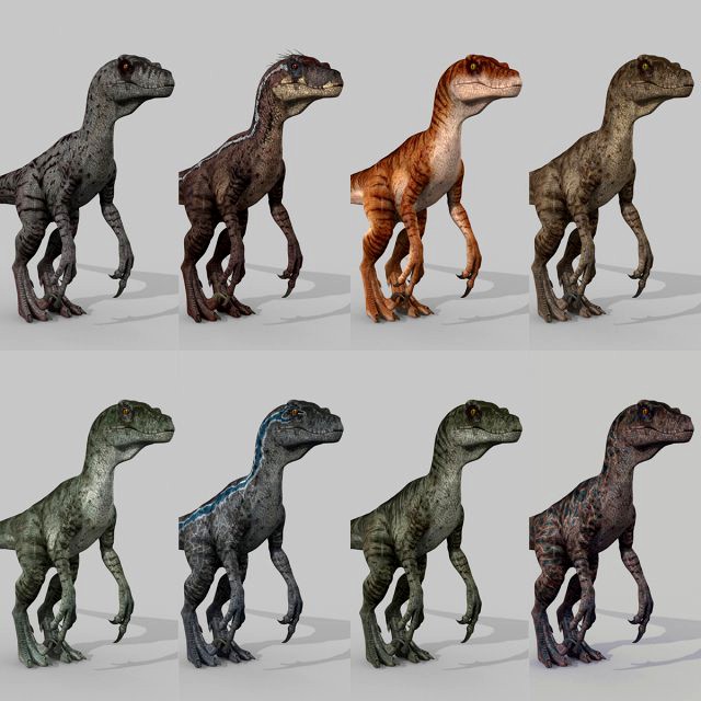 extreme raptor collection - 8k