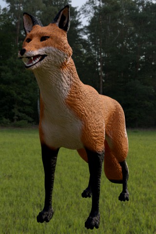 fox for in game use