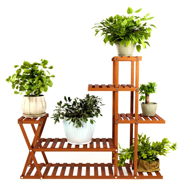 indoor plants 4