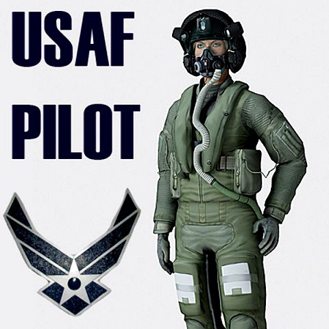 us air force f35aa1 pilot max 9 rigged
