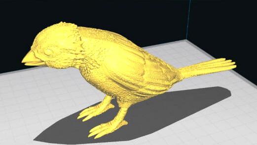bird 3d sparrow jack