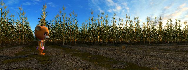 fields of corn