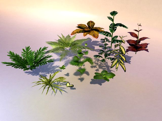 set of plant tropic