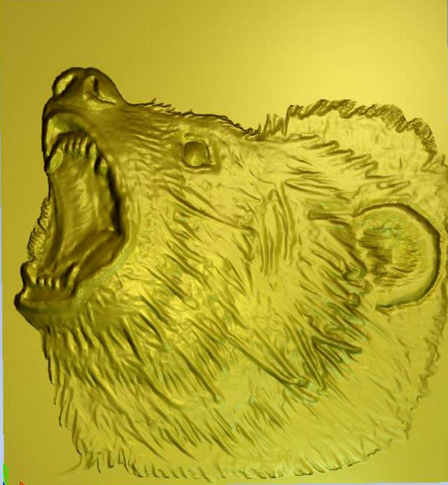 brown bear