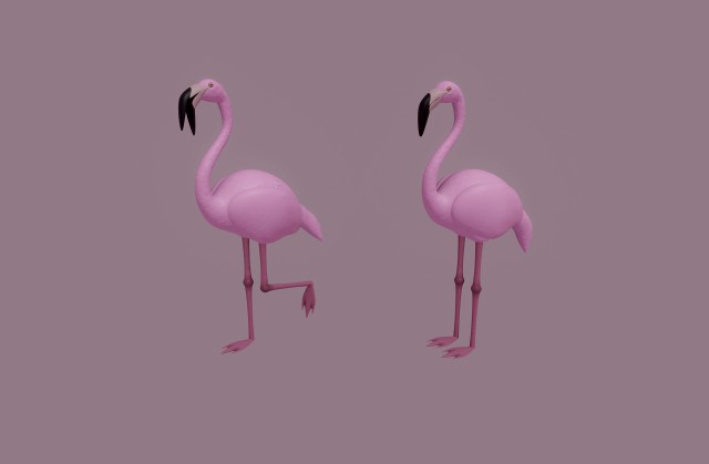 flamingo