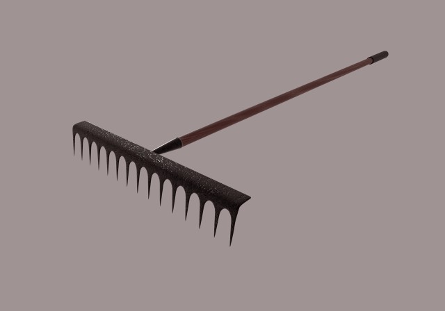 rake