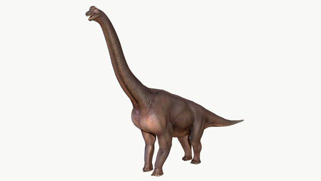 brachiosaurus