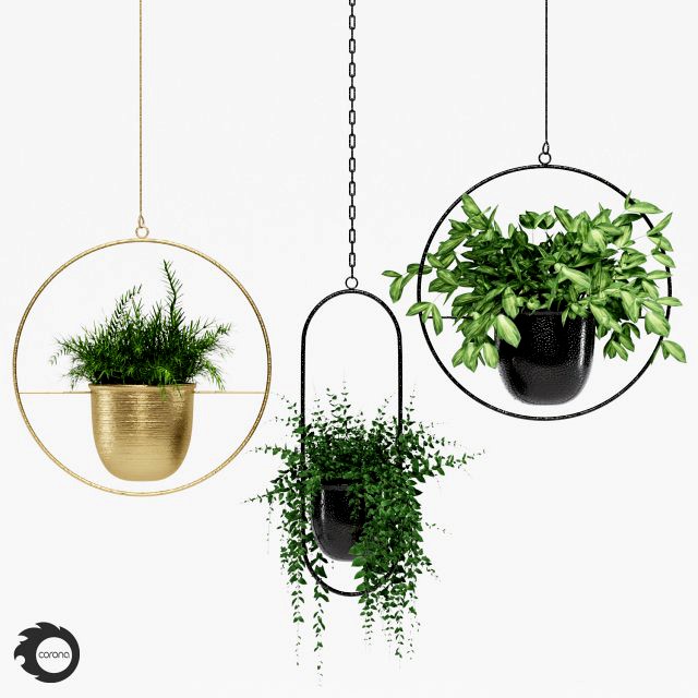 hanging pots