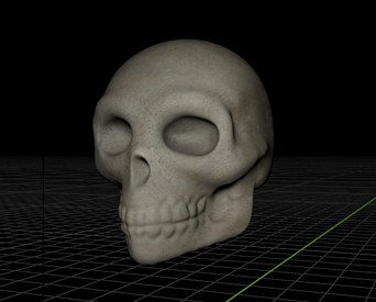 skull