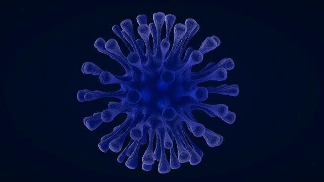 virus 1