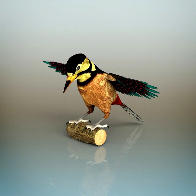 woodpecker bird