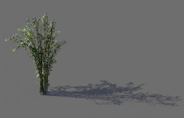 mount putuo-bamboo 22