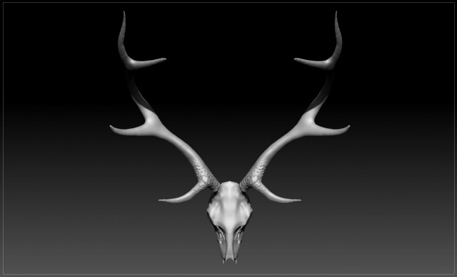 deer scull