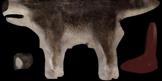 wolf animated