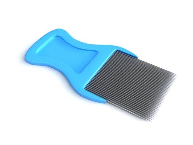 lice comb