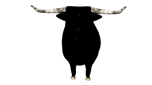 bull