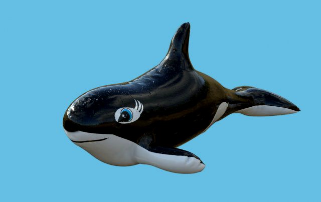 orca float