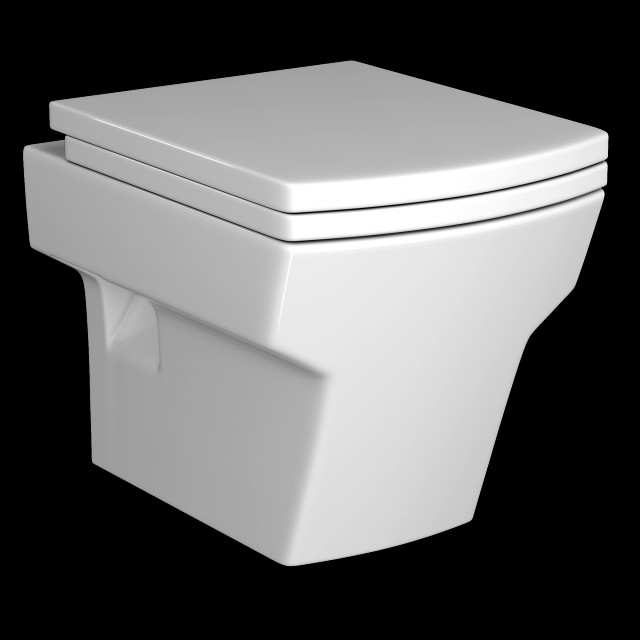 wall hung water closet toilet modeled in 3ds max