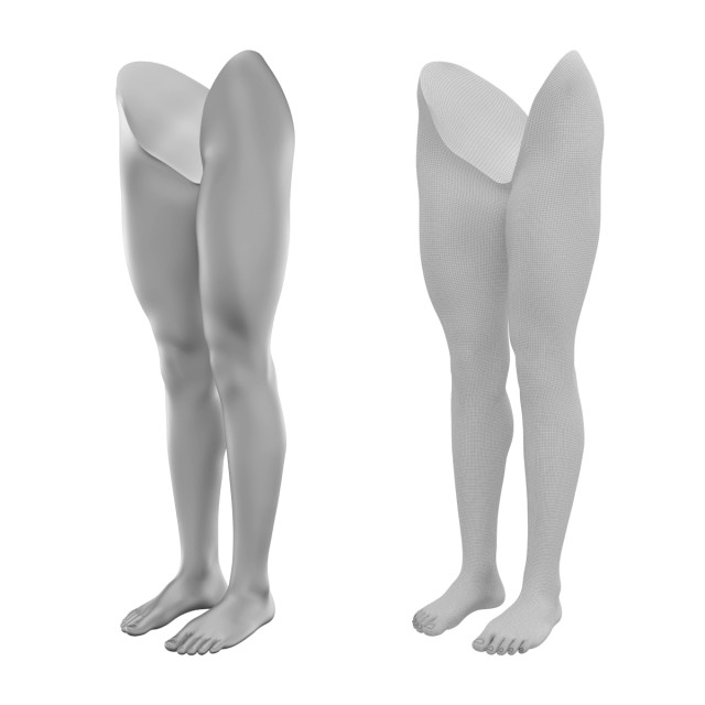 realistic female legs natural proportions base mesh