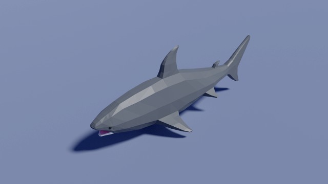 cartoon shark