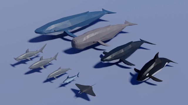 sea animals pack