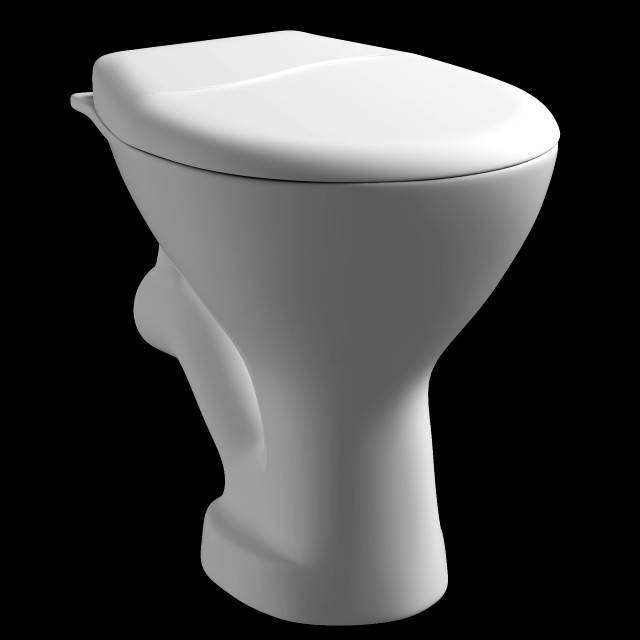 floor mount ewc p trap toilet