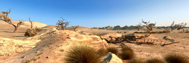 desert