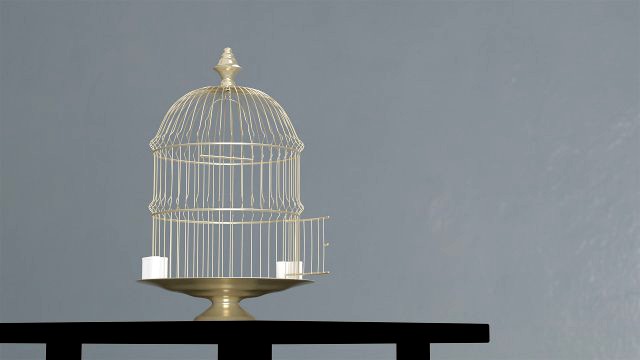 birdcage vintage