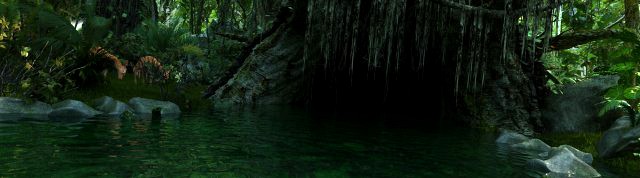 rainforest