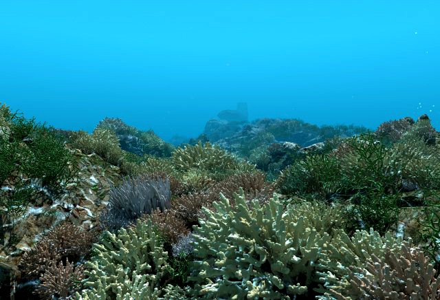 seabed