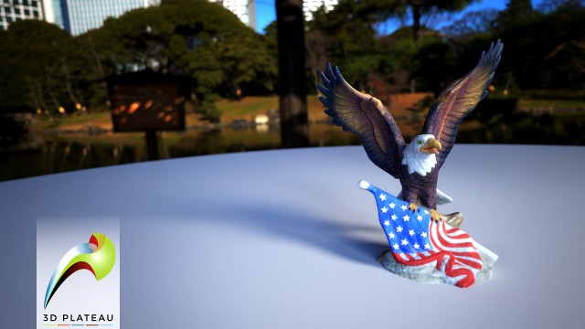 0001-10 flag eagle