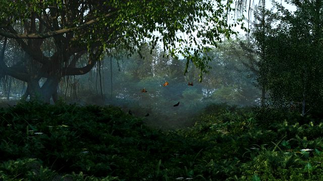 forest