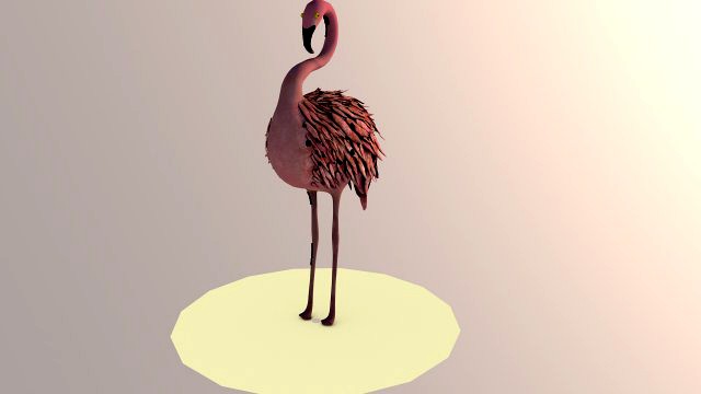 flamingo
