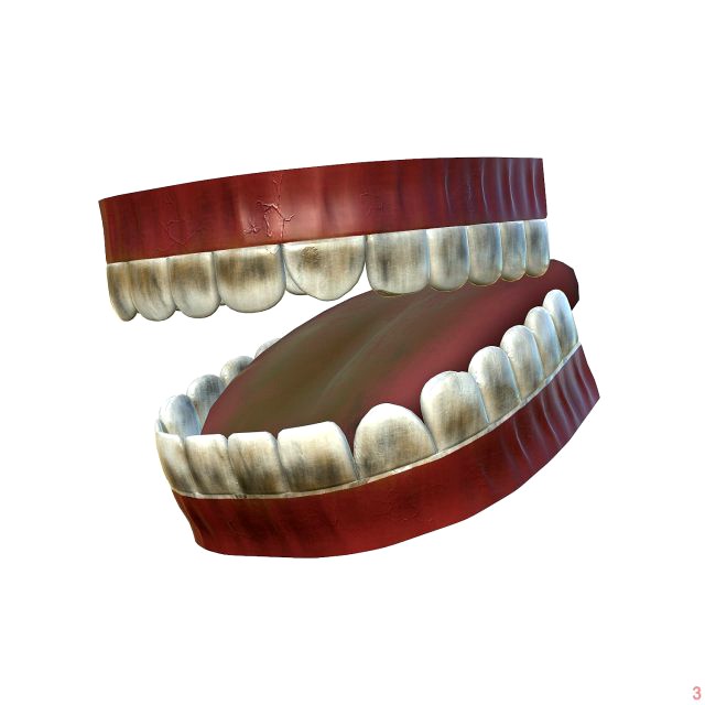 teeth - mouth interior