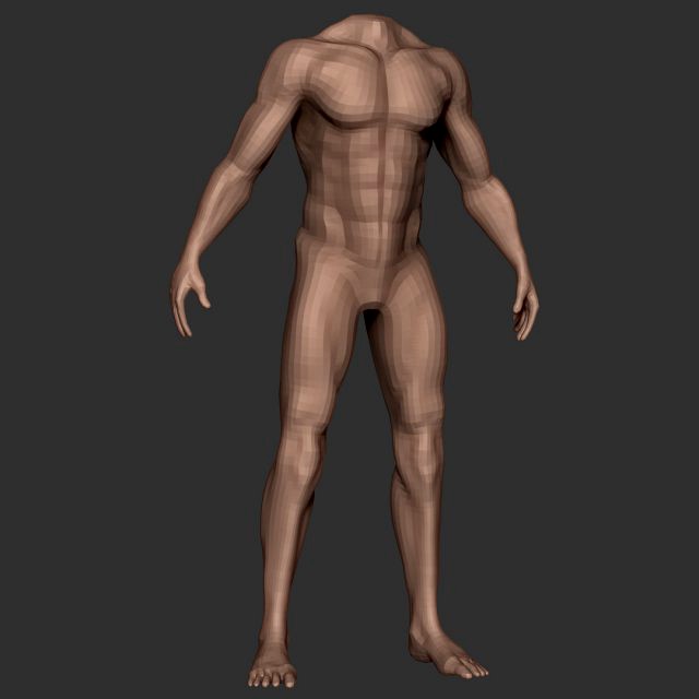 male body anatomy base model vol1